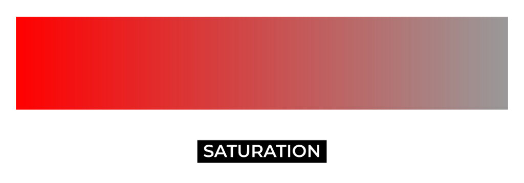 Color Palette Blog Graphic 2 - Terminology - Saturation