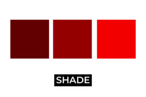 Color Palette Blog Graphic 4 - Terminology - Shades