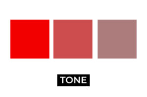 Color Palette Blog Graphic 5 - Terminology - Tones